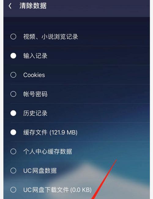 如何清理浏览器缓存以提升上网速度（简单而有效的方法来清理浏览器缓存）  第1张