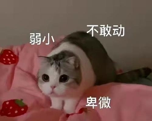 组团吃鸡拖后腿怎么办？如何配置电脑提升游戏体验？  第1张